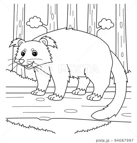 Binturong Animal Coloring Page for Kids 94087997