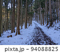 雪の林道 94088825