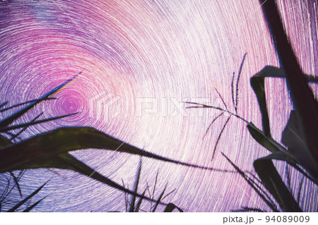 Spin Of Stars In Sky. Bright Blue-purple Night Starry Sky Glowing Stars And Meteoric Track Trails Above Maize Corn Field. Serenity, Calmness. Power Of Mother Nature Concept. Fantasy, Illusion, Dream 94089009