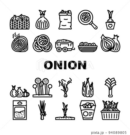 onion white red food vegetable icons set vector 94089805