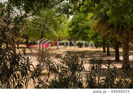 インド　ラージャスターン州のチッタウルガル砦内のフェイ・プラカシュ・パレスの庭園 94090035