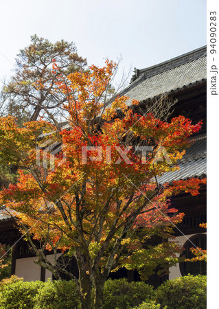 秋色に染まる宝福寺 秋色に染まる宝福寺 94090283