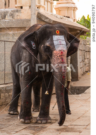 インド　ハンピの建造物群の一つヴィルパークシャ寺院の前にいる象 94090797
