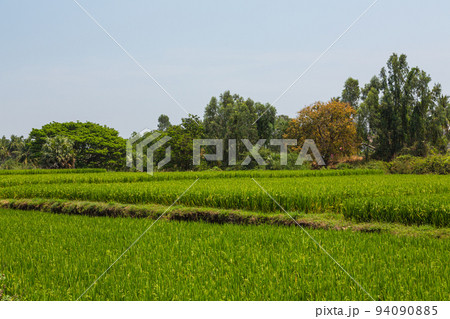 インド　ハンピの田園風景 94090885