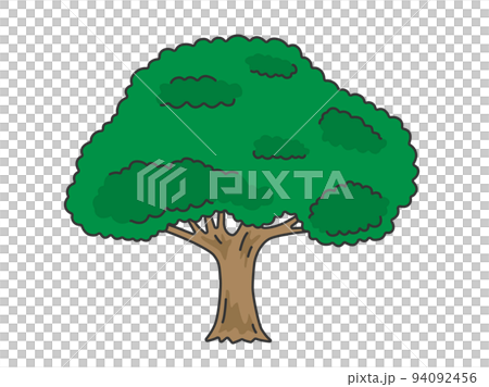 綠葉樹的插圖 94092456