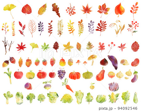 手描き水彩画の秋の紅葉と食べ物のイラストセット 94092546