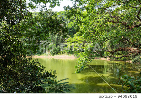 インド　ティルヴァナンタプラムの動物園の風景 94093019