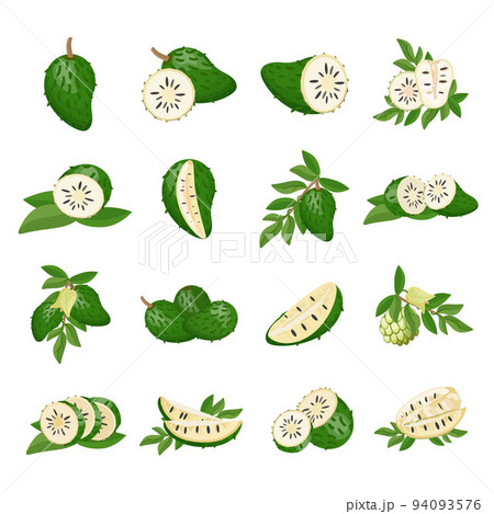 Soursop icons set cartoon vector. Muricata fruit. Fruit plant 94093576