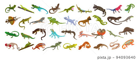 Lizard icons set cartoon vector. Chameleon gecko. Iguana skin Lizard icons set cartoon vector. Chameleon gecko. Iguana skin 94093640