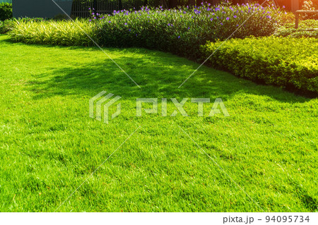 Backyard in spring, garden landscape design with tall and low shrubs and flowers has a beautiful rounded shape in the middle is a green grass, Newly cut lawn Lush green with morning sunlight. 94095734