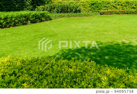 Landscape design for background, Peaceful Garden, Green garden and lawn, Green lawn, The front lawn for background, The beauty of the decorated garden, Newly cut lawn Lush green with morning sunlight. Landscape design for background, Peaceful Garden, Green garden and lawn, Green lawn, The front lawn for background, The beauty of the decorated garden, Newly cut lawn Lush green with morning sunlight. 94095738