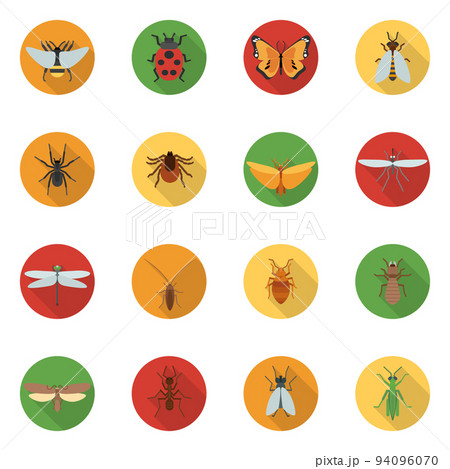Insects Icons Flat Insects Icons Flat 94096070