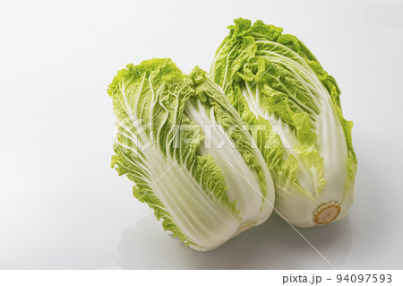 白バックの白菜 白バックの白菜 94097593