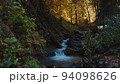 Mountain stream is falling down from the hill among colorful autumn landscape. mysterious forest in fall colors and golden sunrays. bridge over the brook flowing in the middle of caucasian mountains. 94098626