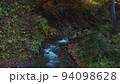 Mountain stream with crystal water flows through forest covered with colorful fall leaves. slow brook is flowing among the forested caucasian mountain range. peaceful landscape of autumn forest. 94098628