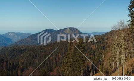 Scenic view of the majestic caucasus mountains covered with colourful trees in fall season. forested mountain range in red, yellow and green colours. Scenic view of the majestic caucasus mountains covered with colourful trees in fall season. forested mountain range in red, yellow and green colours. 94098640