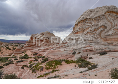 バーミリオン・クリフス国定公園のホワイト・ポケット（アリゾナ州、アメリカ） 94104427
