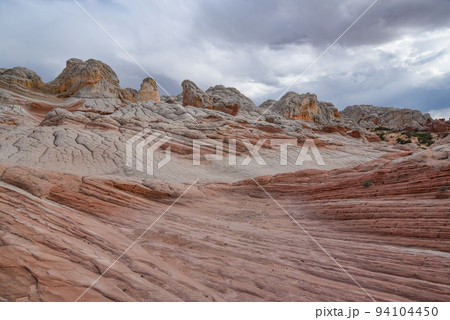 バーミリオン・クリフス国定公園のホワイト・ポケット（アリゾナ州、アメリカ） 94104450