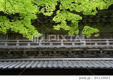 永源寺　山門の若モミジ　滋賀県東近江市 94110003