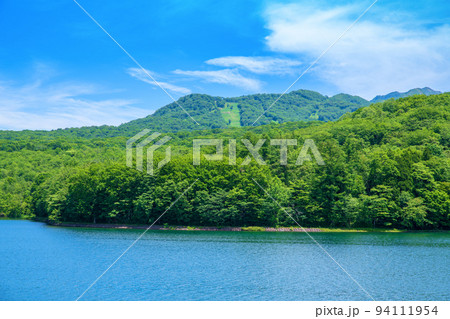 玉原湖 玉原ダム 湖畔の風景 初夏の季節 玉原湖 玉原ダム 湖畔の風景 初夏の季節 94111954