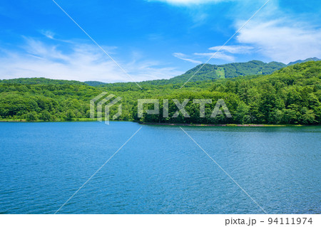 玉原湖　玉原ダム　湖の風景　初夏の季節 94111974