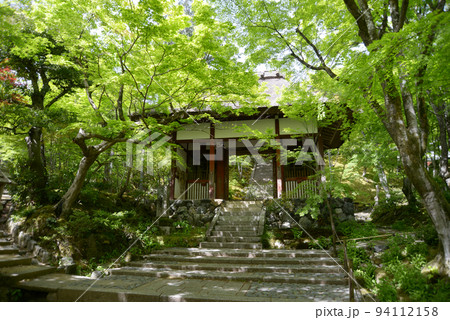 新緑の常寂光寺　仁王門　京都市右京区嵯峨 94112158