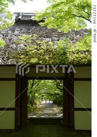 新緑の常寂光寺　仁王門　京都市右京区嵯峨 94112161