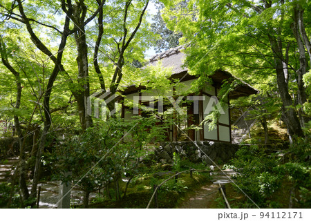 新緑の常寂光寺 仁王門 京都市右京区嵯峨 新緑の常寂光寺 仁王門 京都市右京区嵯峨 94112171
