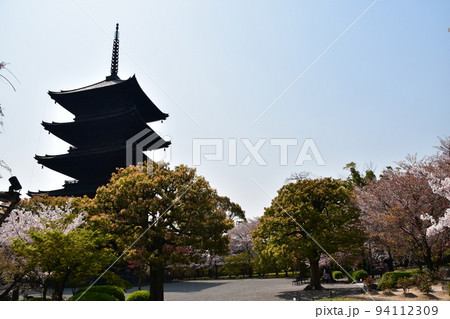 日本の京都府の京都市 春の東寺 満開の桜と国宝の五重塔 日本の京都府の京都市 春の東寺 満開の桜と国宝の五重塔 94112309