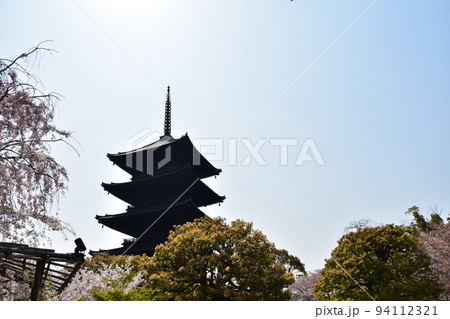 日本の京都府の京都市　春の東寺　満開の桜と国宝の五重塔 94112321