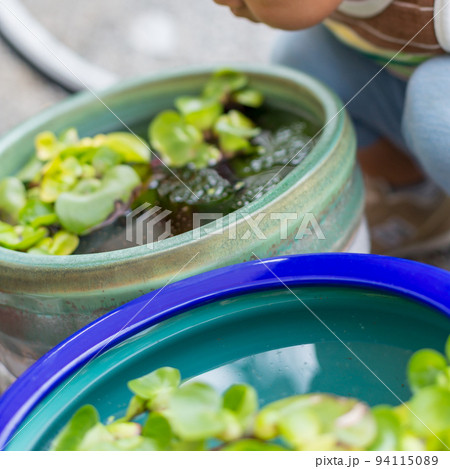 2 years old 94115089