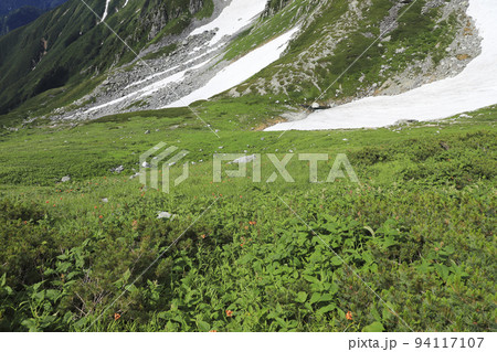 天空のお花畑　立山連峰 94117107
