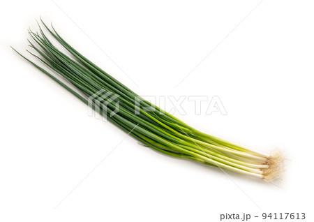 博多万能ねぎ 94117613