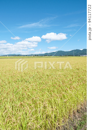 秋の田園風景 秋の田園風景 94117722