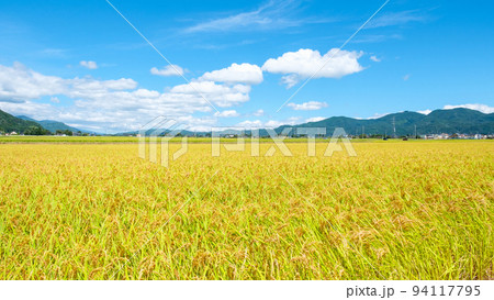 秋の田園風景 秋の田園風景 94117795