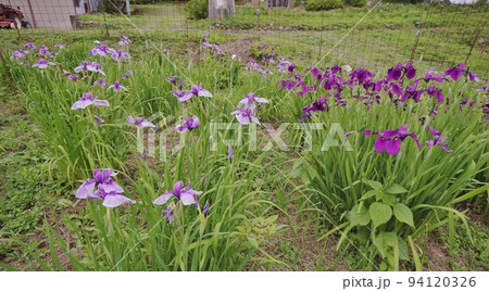 夏の萩木間集落 94120326