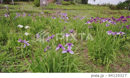 夏の萩木間集落 夏の萩木間集落 94120327