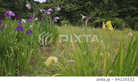 夏の萩木間集落 94120332