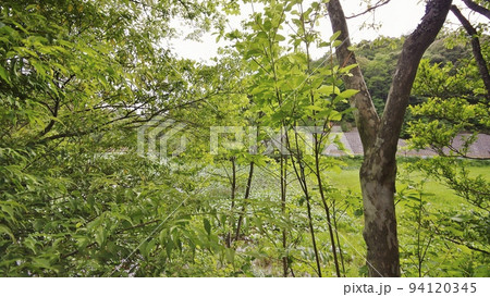 夏の萩木間集落 94120345