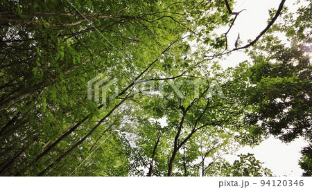 夏の萩木間集落 94120346