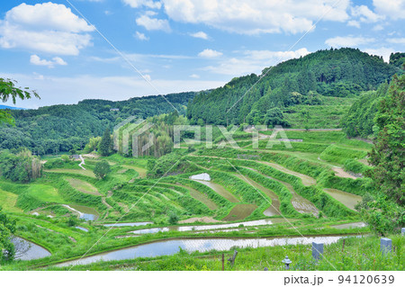 【北庄の棚田】 岡山県久米郡久米南町北庄 【北庄の棚田】 岡山県久米郡久米南町北庄 94120639