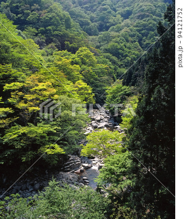 ロマンチック茨城（山、岩、森、清流、そして鳥たちの歌。自然に満ち足りた渓谷。）北茨城市、大北川渓谷 94121752