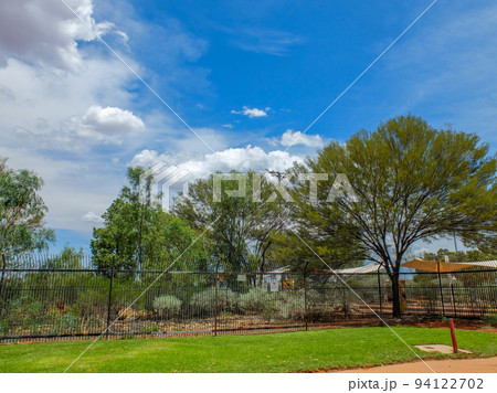 オーストラリアの青空と芝生と木 94122702