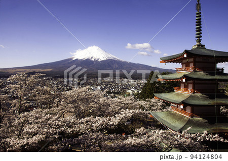 春の新倉浅間公園の五重塔と冠雪した富士山 94124804