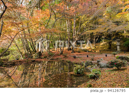 Beautiful autumn colored leaves garden in Daigo-ji temple, Kyoto, Japan 94126795