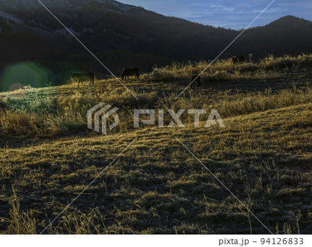 景色 風景 地球 94126833