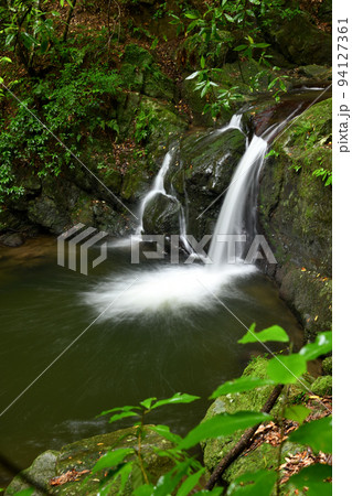 塔の滝(犬鳴山渓谷)　【大阪府泉佐野市】 94127361