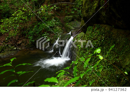 塔の滝(犬鳴山渓谷) 【大阪府泉佐野市】 塔の滝(犬鳴山渓谷) 【大阪府泉佐野市】 94127362