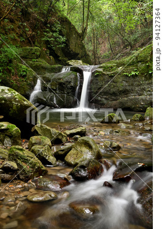 塔の滝(犬鳴山渓谷)　【大阪府泉佐野市】 94127364