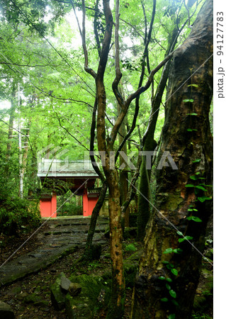 瑞龍門(犬鳴山) 【大阪府泉佐野市】 瑞龍門(犬鳴山) 【大阪府泉佐野市】 94127783